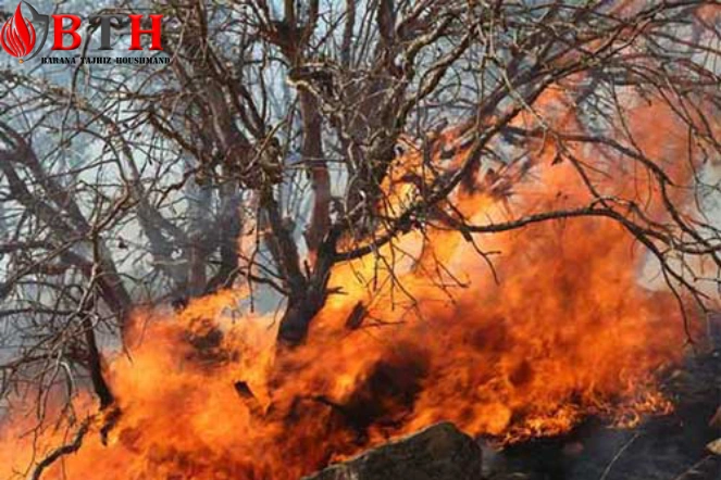 سنسور هشدار آتش سوزی